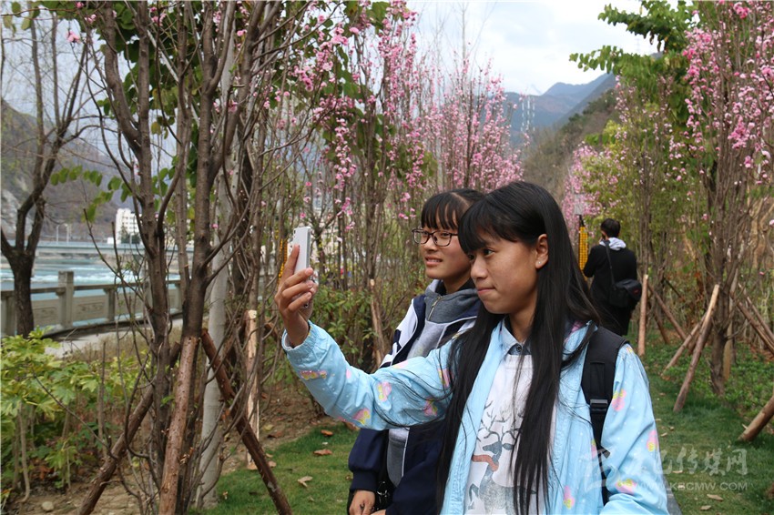 春光俏！“醉”是瀘定春三月，踏青賞花正當(dāng)時(shí)