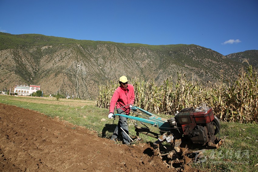 田園藏鄉(xiāng)美如畫(huà)，百姓脫貧喜在心