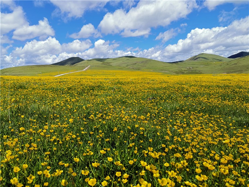 祝?；ê? 任剛.jpg