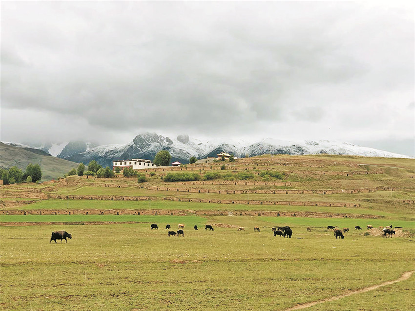 十八軍窯洞.jpg 十八軍窯洞.jpg