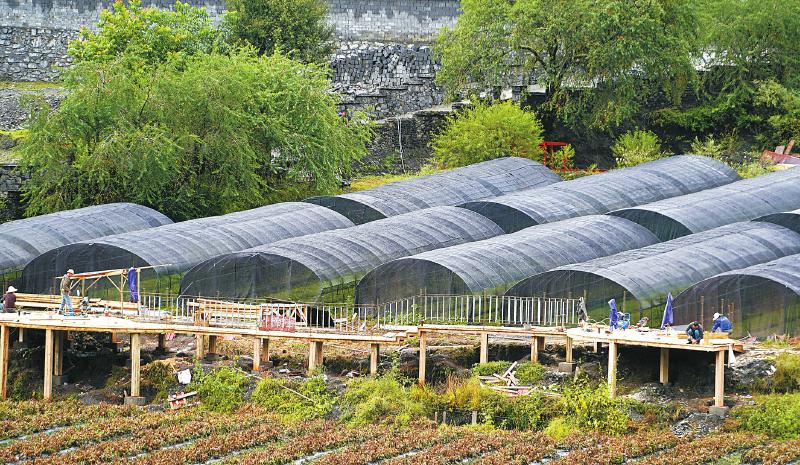 九龍縣已初步.jpg 九龍縣已初步.jpg