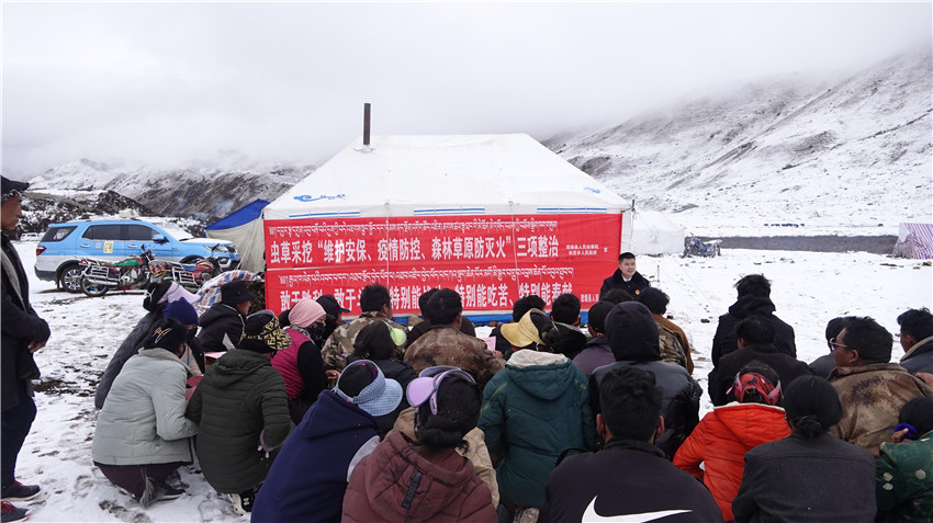 工作組到蟲(chóng).jpg 工作組到蟲(chóng).jpg