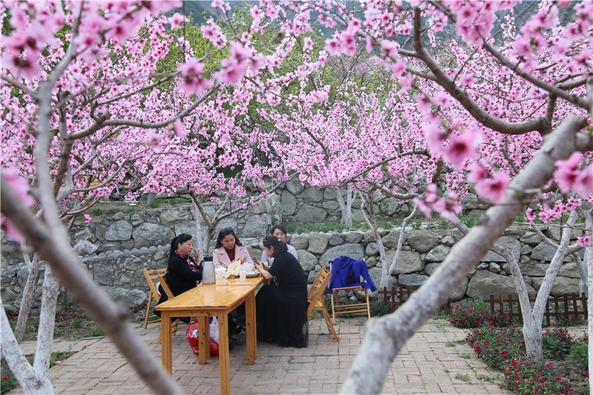 農(nóng)家樂吸引.jpg 農(nóng)家樂吸引.jpg