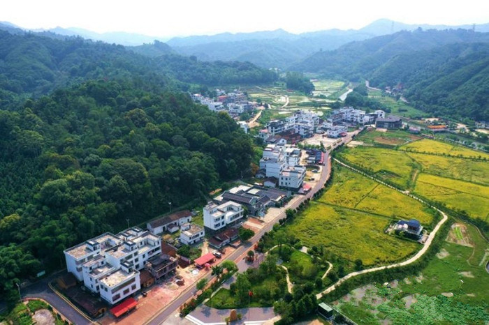 連樟村.jpg 連樟村.jpg