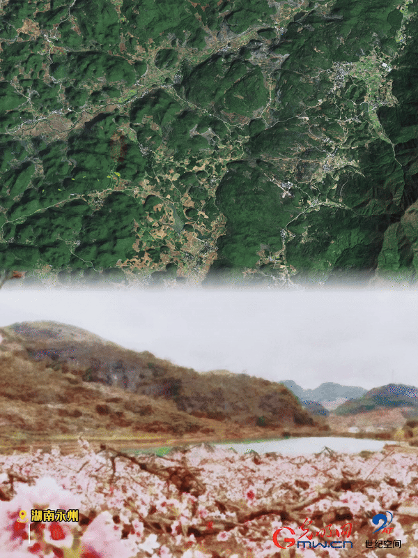 清明游玩賞花圖鑒來了！衛(wèi)星鏡頭帶你先睹為快